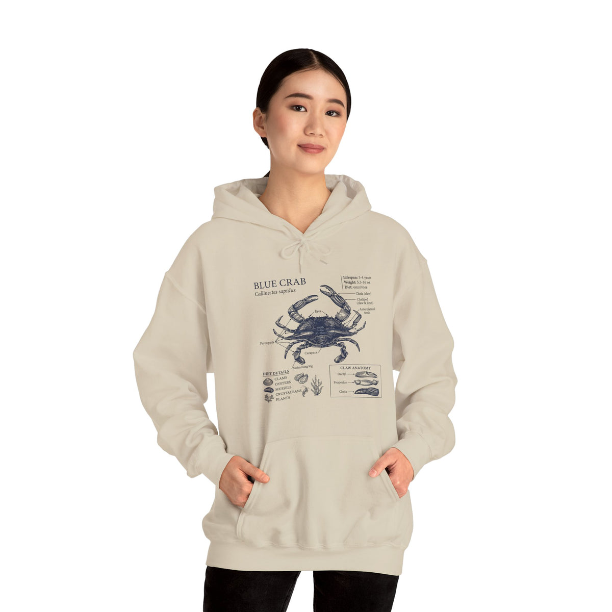 Blue Crab Anatomy Hoodie – Nautical Marine Biology Graphic Sweatshirt