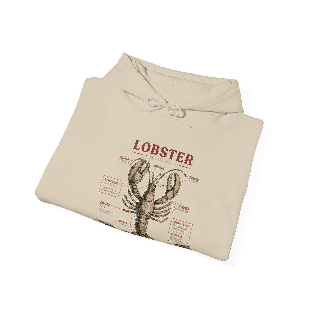 Lobster Anatomy Hoodie – Nautical Seafood Illustration Pullover