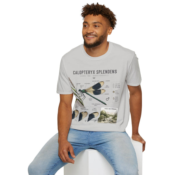Calopteryx Splendens Anatomy T-Shirt