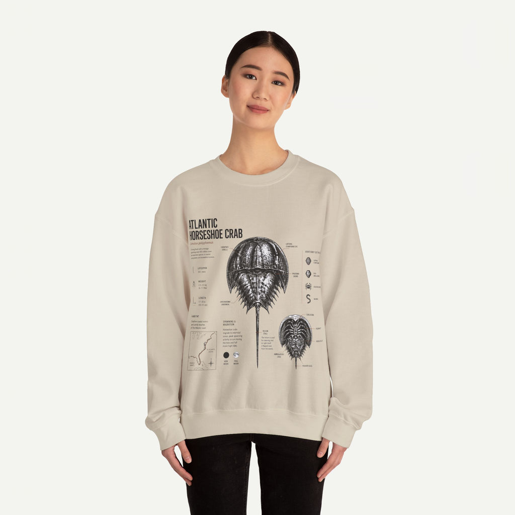 Horseshoe Crab Anatomy Sweatshirt — Atlantic Horseshoe Crab Illustration Crewneck