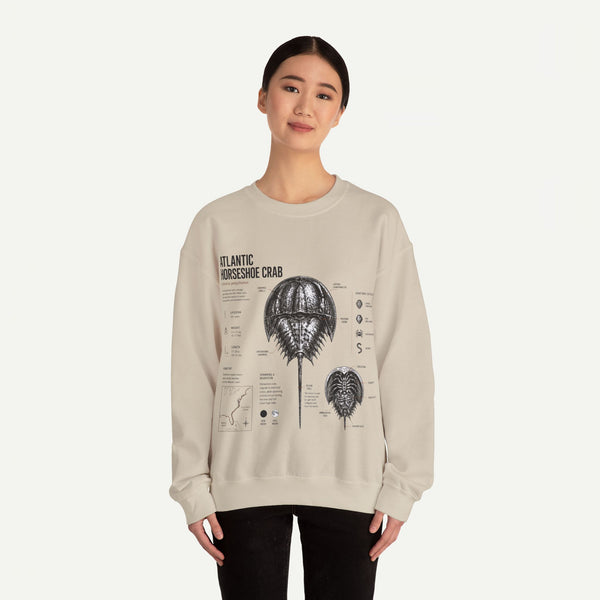 Horseshoe Crab Anatomy Sweatshirt — Atlantic Horseshoe Crab Illustration Crewneck