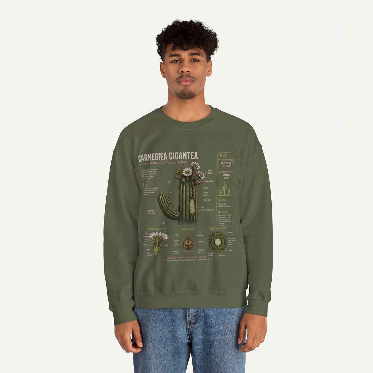 Carnegiea Gigantea Cactus Sweatshirt — Botanical Diagram Crewneck