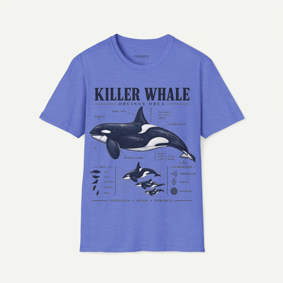 Killer Whale Diagram T-Shirt — Orcinus Orca Marine Life Graphic Tee
