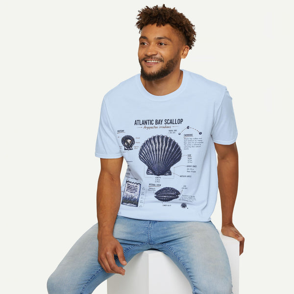 Scallop Shell Anatomy T‑Shirt — Atlantic Bay Scallop Illustration Tee