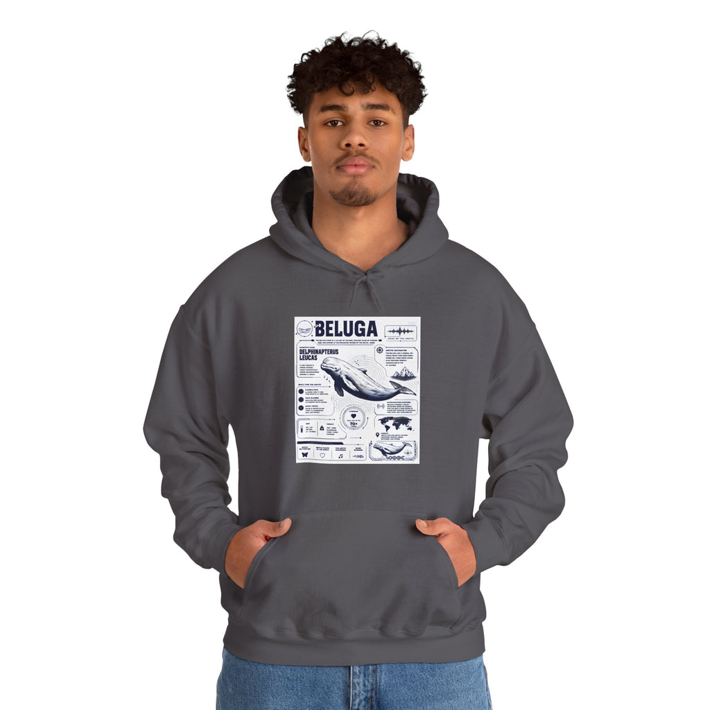 Beluga Whale Graphic Hoodie - Marine Life Diagram Sweatshirt