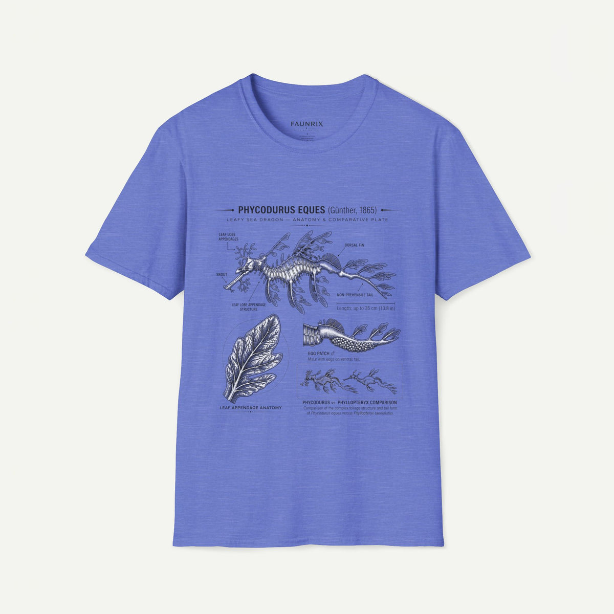Sea Dragon Anatomy T-Shirt — Phycodurus Eques Botanical Illustration Tee