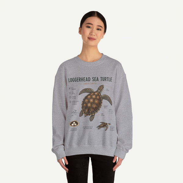 Loggerhead Sea Turtle Anatomy Sweatshirt — Marine Life Educational Crewneck