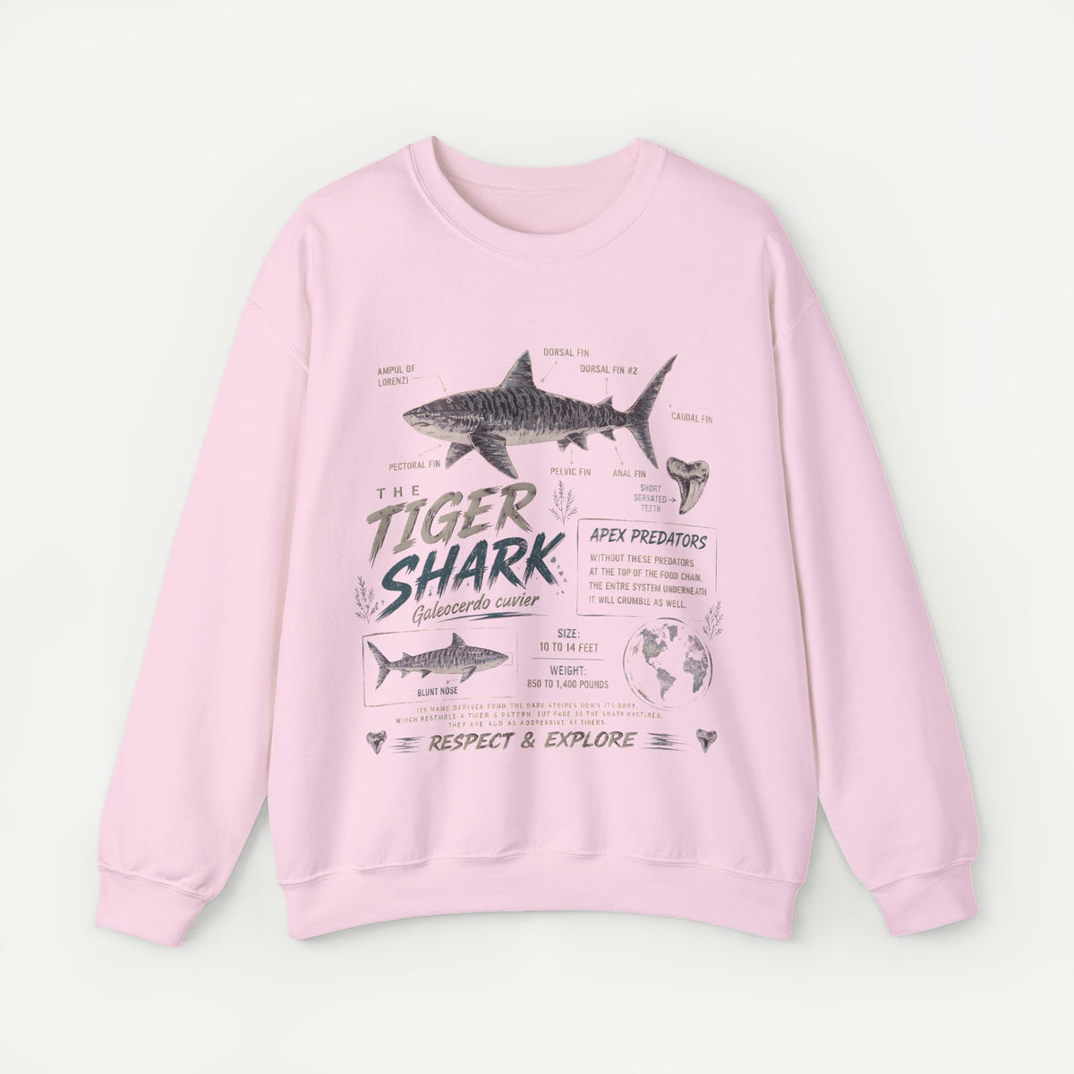 Tiger Shark Anatomy Sweatshirt — Marine Biology Graphic Crewneck