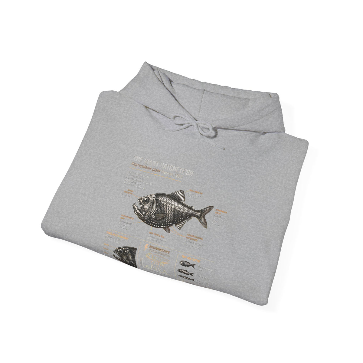 Blackfish Anatomy Hoodie – Fish Identification Diagram Sweatshirt