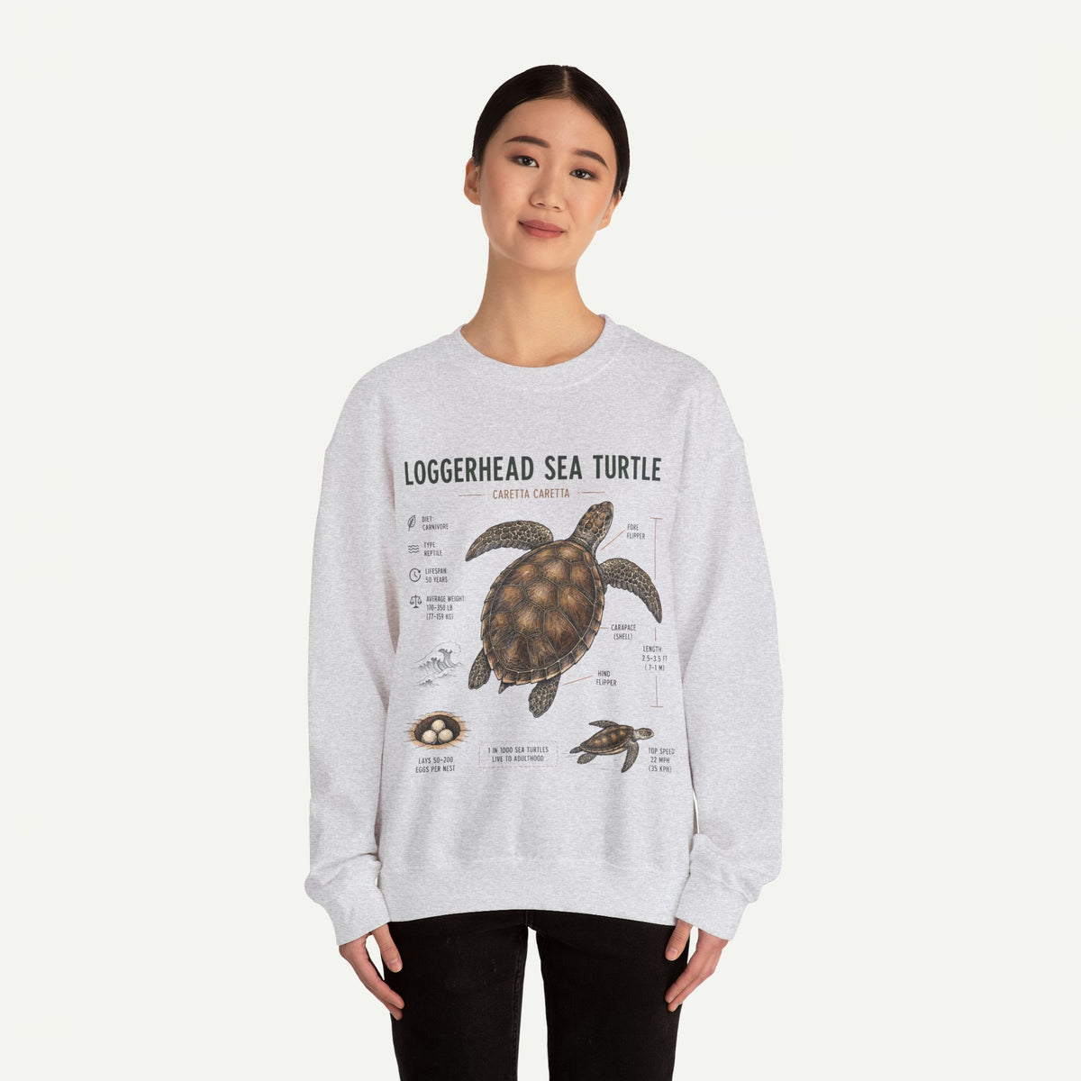 Loggerhead Sea Turtle Anatomy Sweatshirt — Marine Life Educational Crewneck