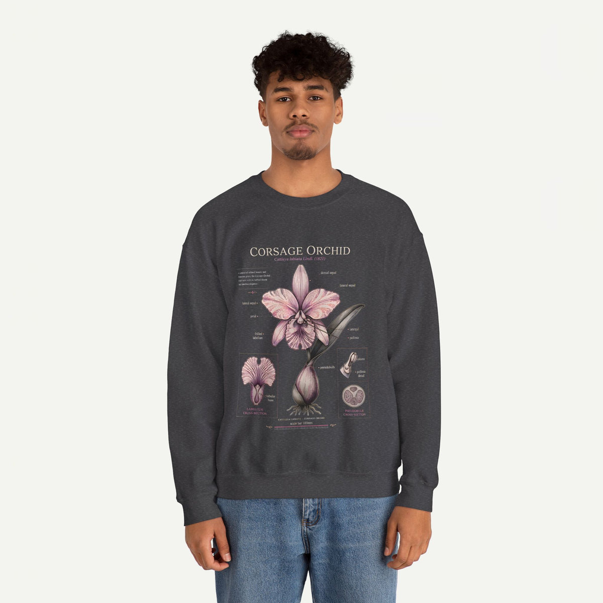 Corsage Orchid Sweatshirt — Botanical Anatomy Floral Crewneck
