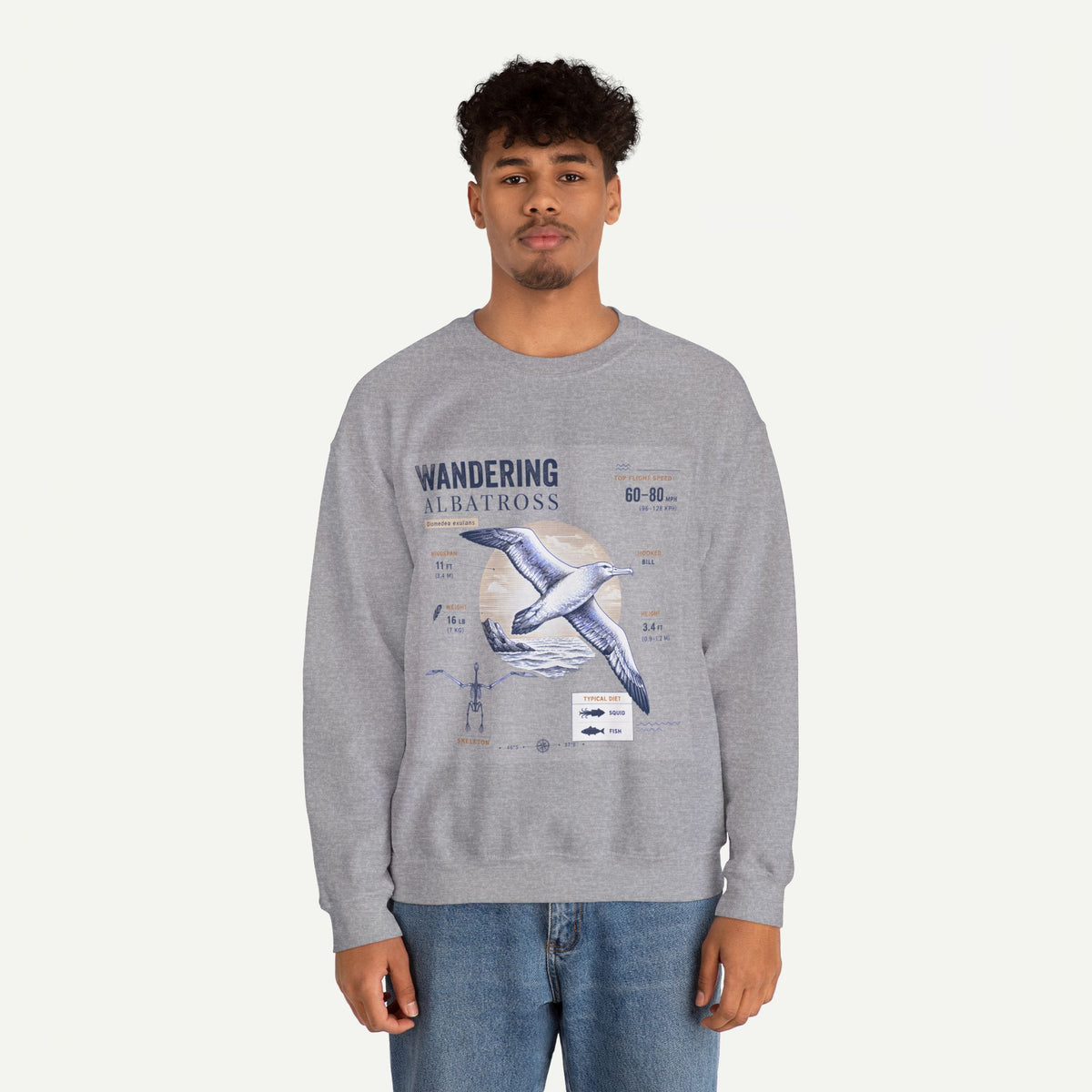 Wandering Albatross Anatomy Sweatshirt — Vintage Seabird Illustration