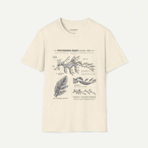 Sea Dragon Anatomy T-Shirt — Phycodurus Eques Botanical Illustration Tee