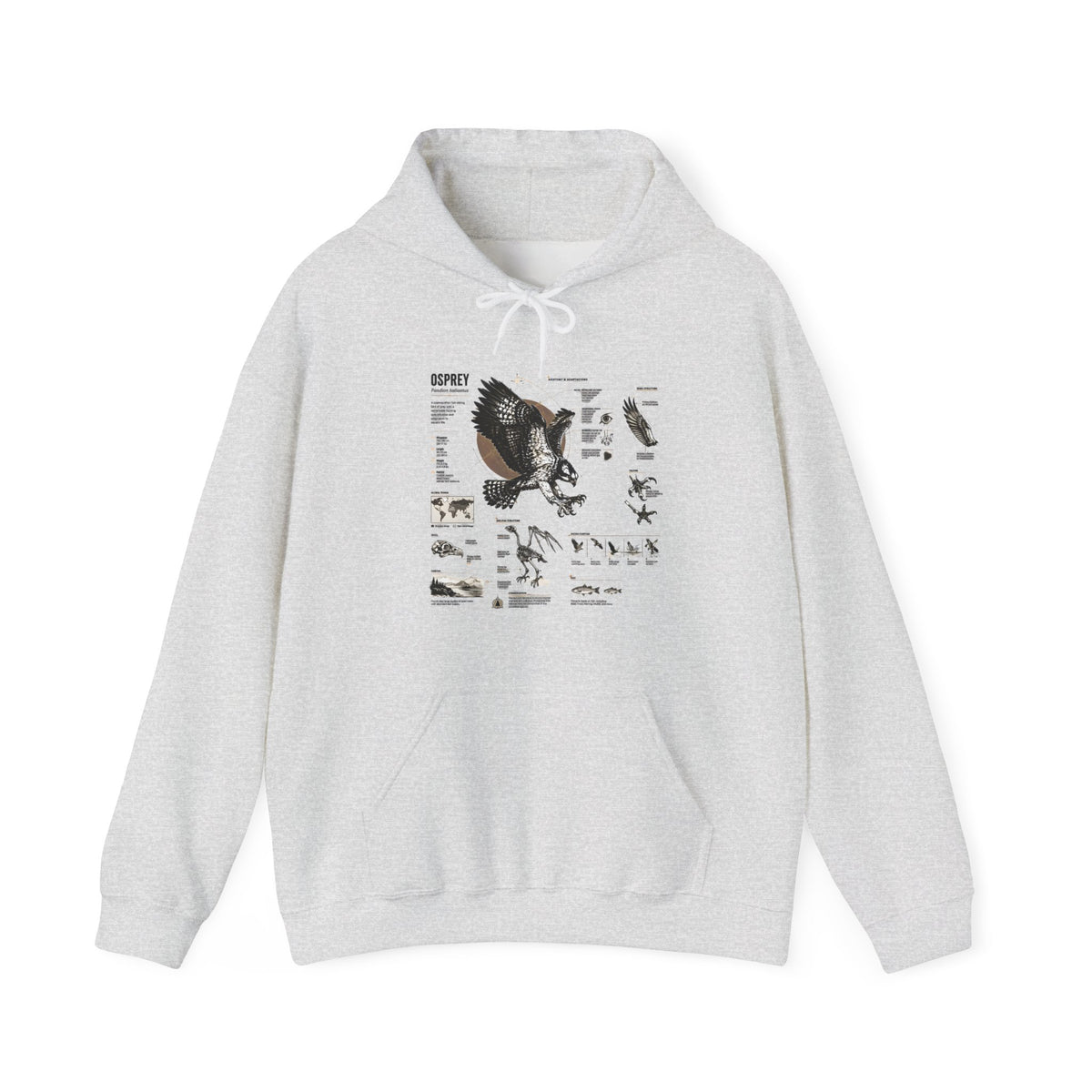 Eagle Anatomy Hoodie — Vintage Ornithology Graphic Sweatshirt