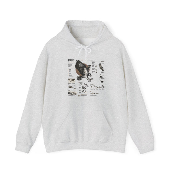Eagle Anatomy Hoodie — Vintage Ornithology Graphic Sweatshirt