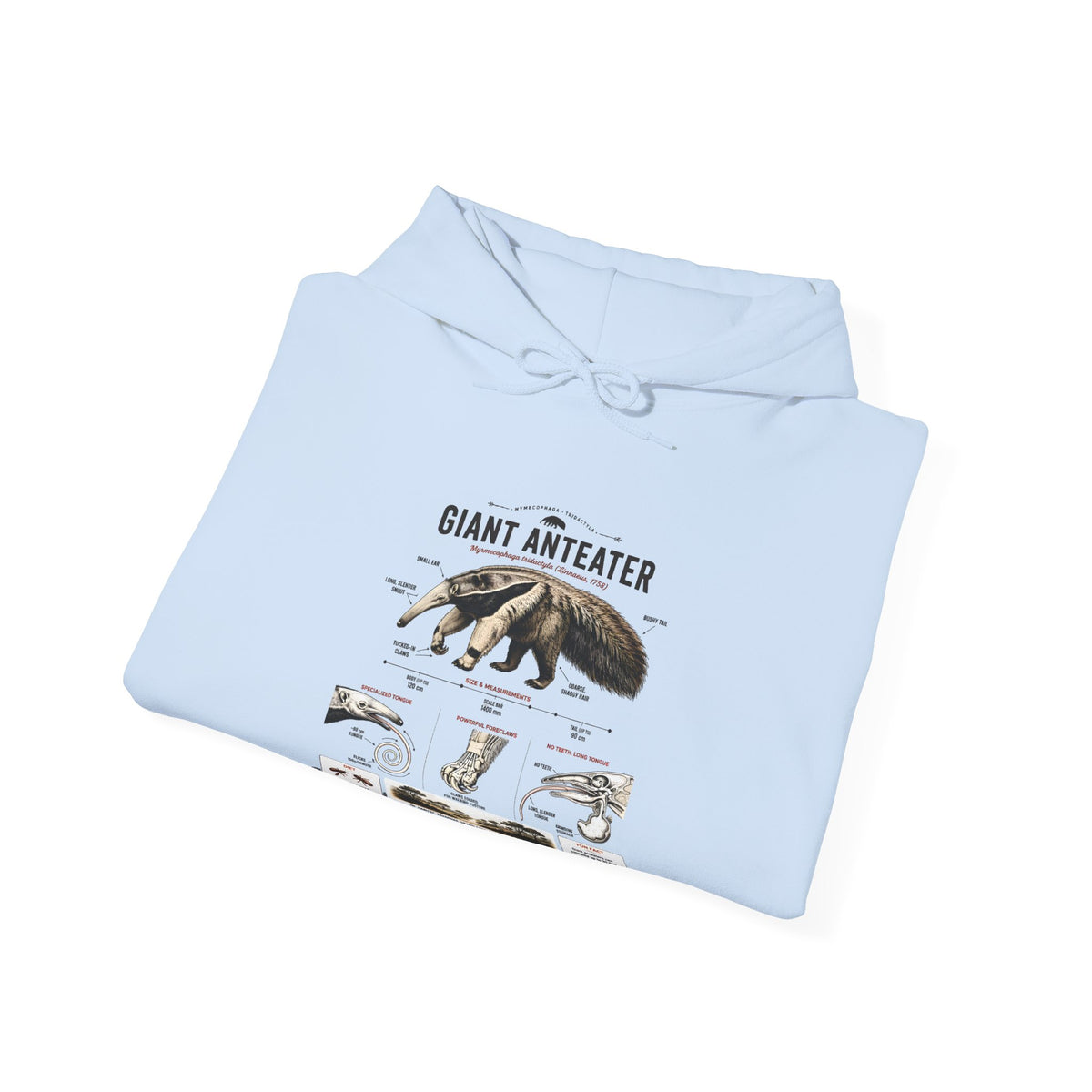 Giant Anteater Anatomy Hoodie — Illustrated Wildlife Diagram Sweatshirt