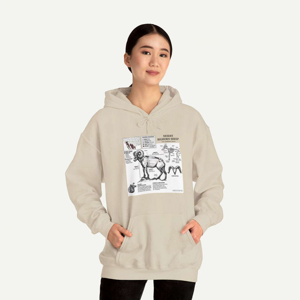 Dog Anatomy Hoodie – Vintage Canine Diagram Sweatshirt