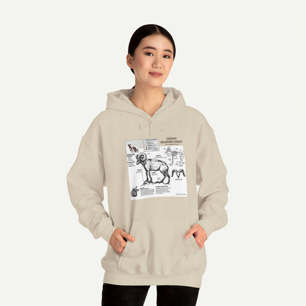Dog Anatomy Hoodie – Vintage Canine Diagram Sweatshirt