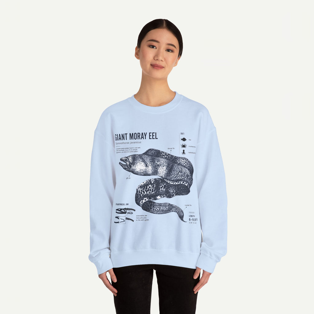 Giant Moray Eel Anatomy Sweatshirt