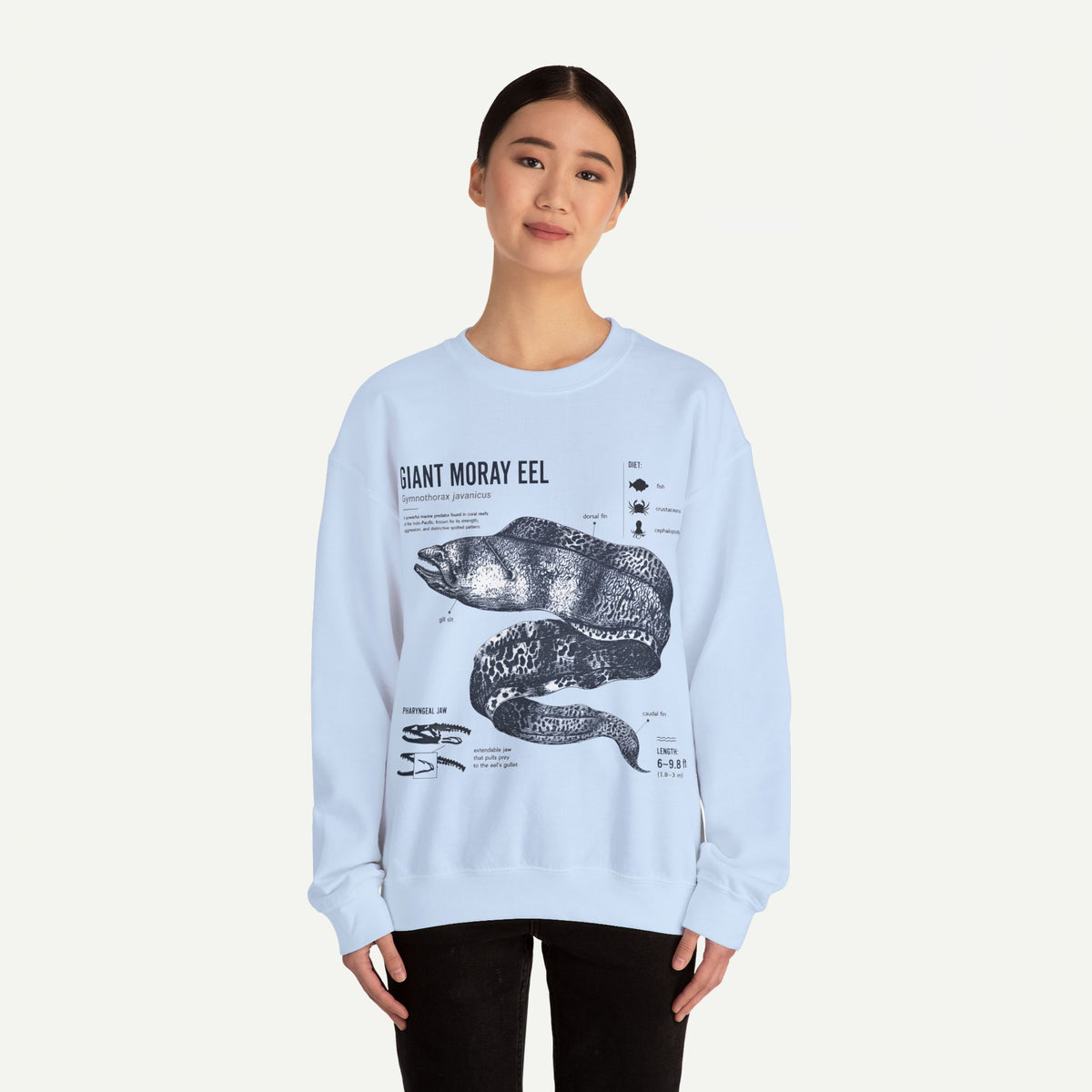 Giant Moray Eel Anatomy Sweatshirt