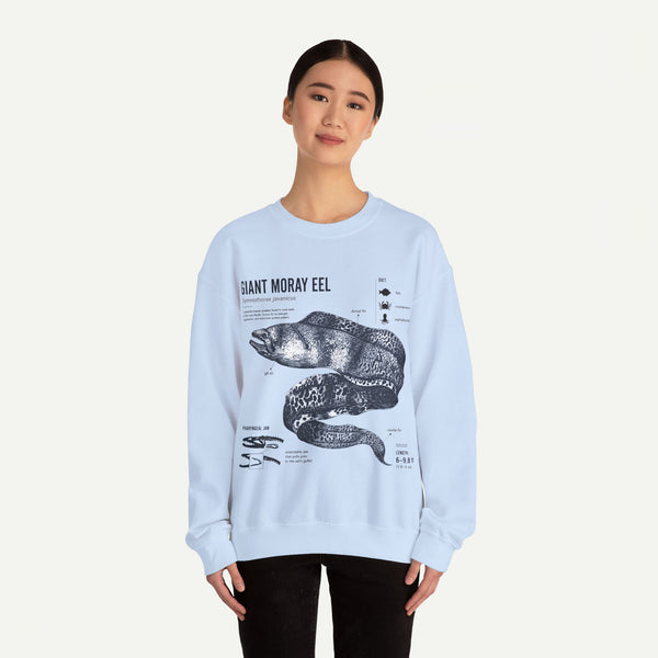 Giant Moray Eel Anatomy Sweatshirt