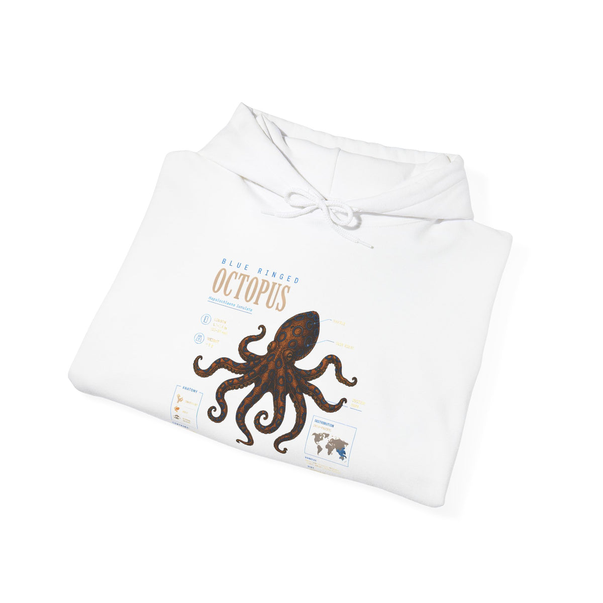 Octopus Specimen Hoodie — Vintage Marine Biology Illustration Sweatshirt