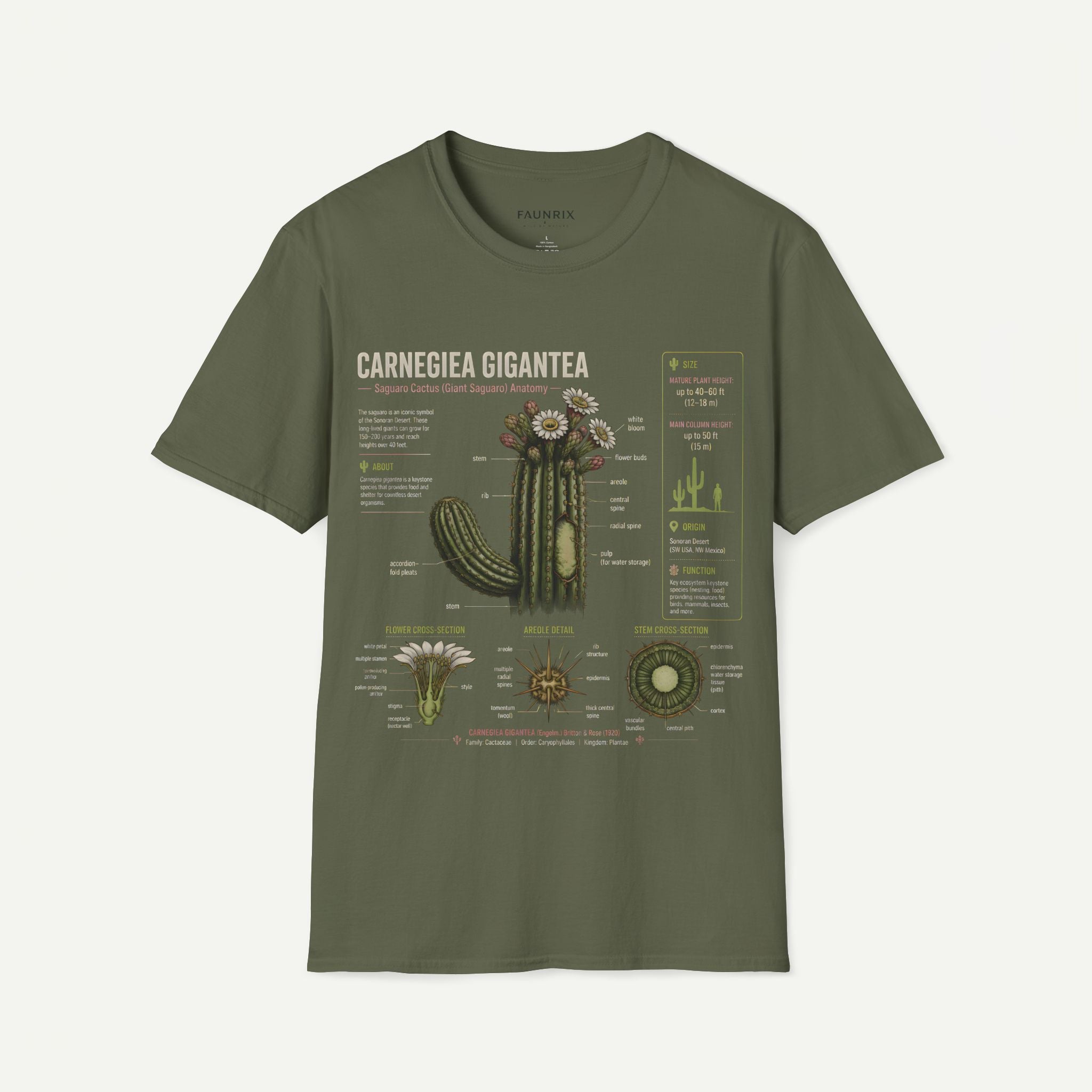 Carnegiea Gigantea Cactus Anatomy T-Shirt — Saguaro Plant Illustration Tee Secondary image