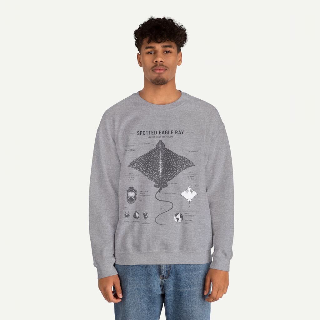 Spotted Eagle Ray Anatomy Sweatshirt – Marine Biology Illustration