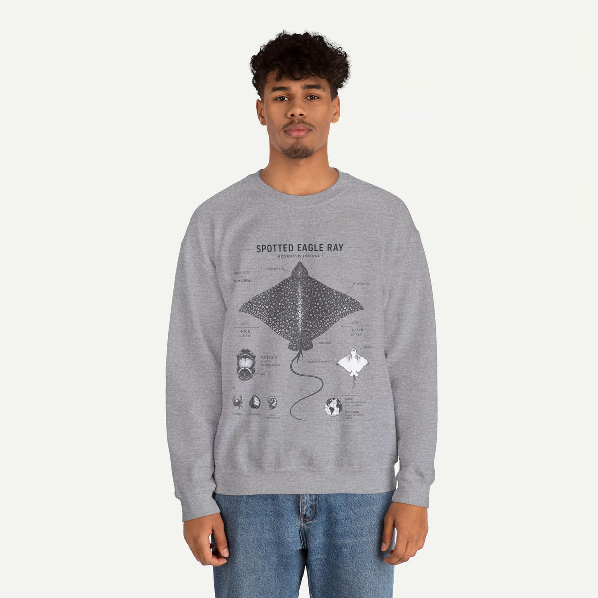 Spotted Eagle Ray Anatomy Sweatshirt – Marine Biology Illustration