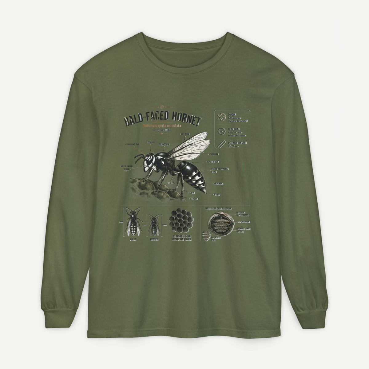 Bald-Faced Hornet Anatomy Long Sleeve Tee