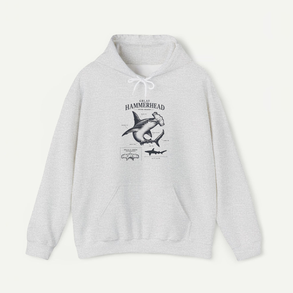 Hammerhead Shark Anatomy Hoodie – Marine Biology Graphic