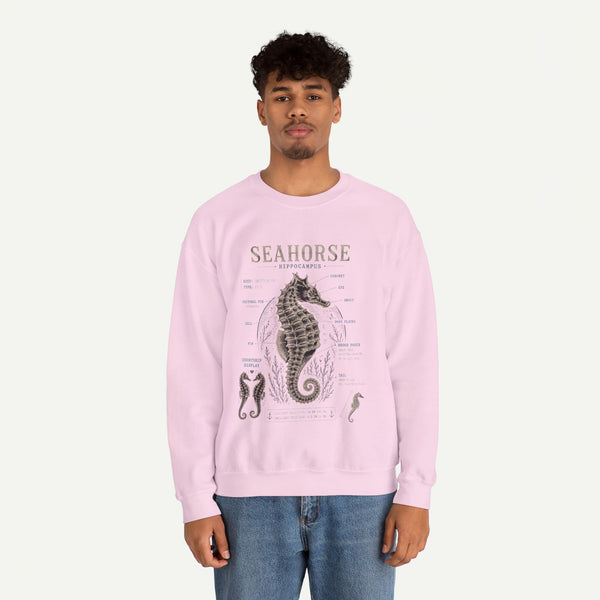Seahorse Anatomy Crewneck Sweatshirt