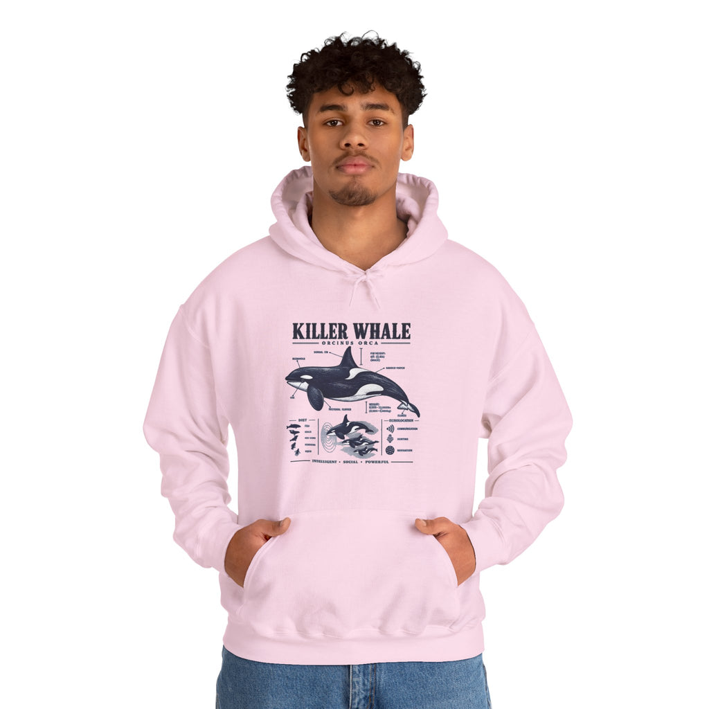 Killer Whale Anatomy Hoodie — Orca Scientific Diagram Sweatshirt