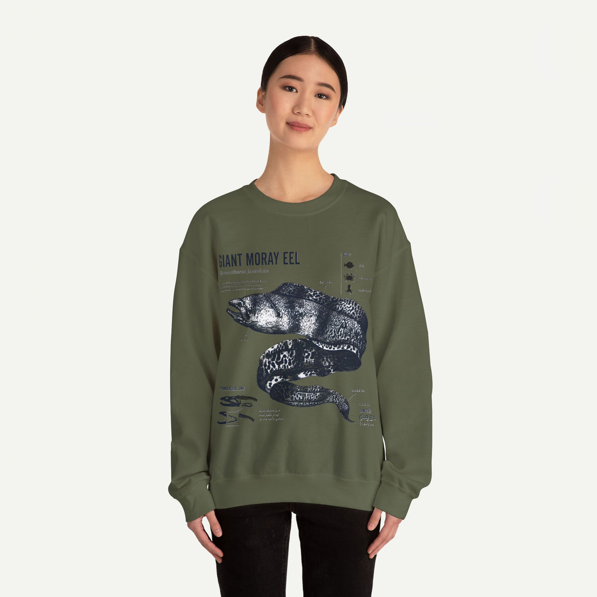 Giant Moray Eel Anatomy Sweatshirt