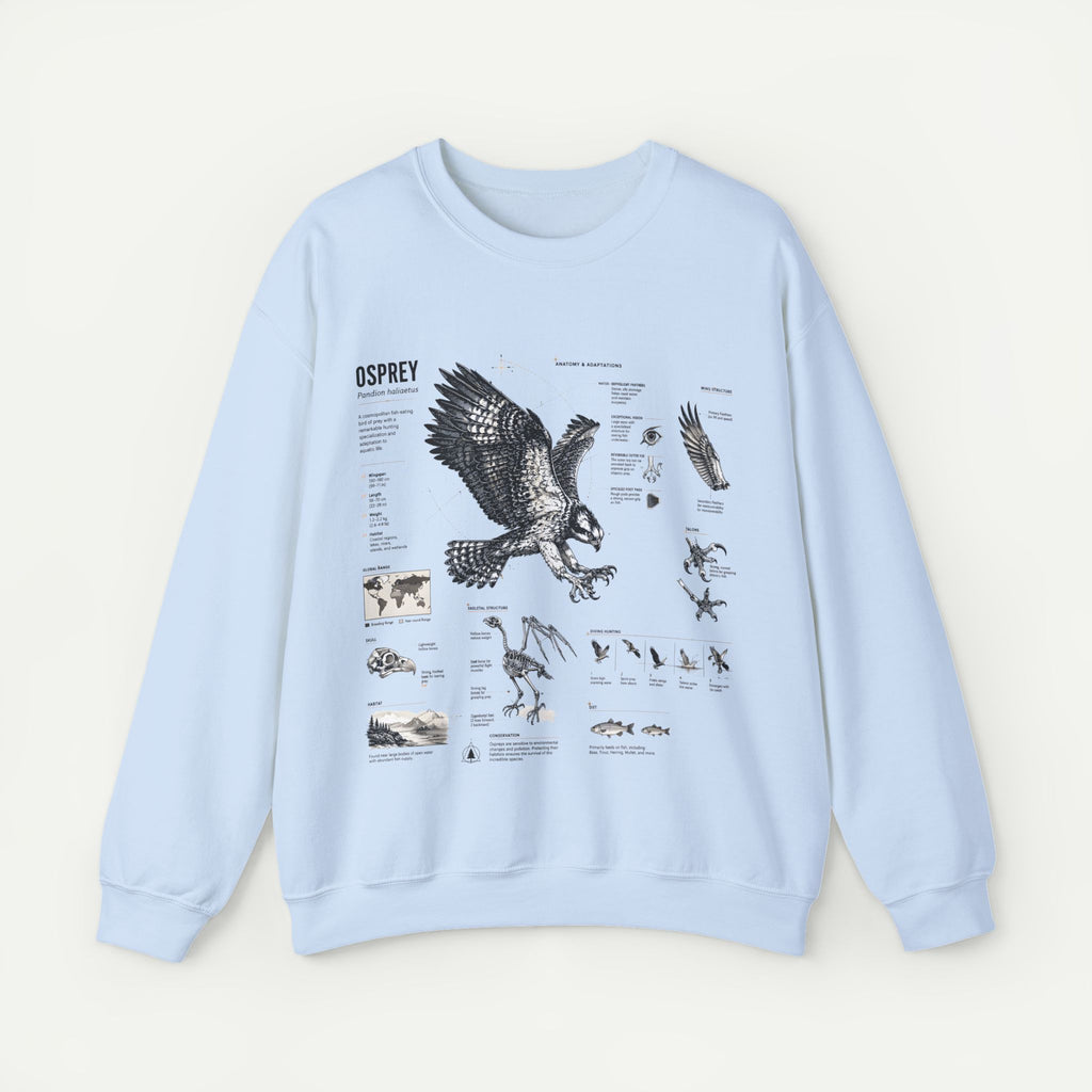 Osprey Anatomy Sweatshirt — Illustrated Bird Guide Pullover