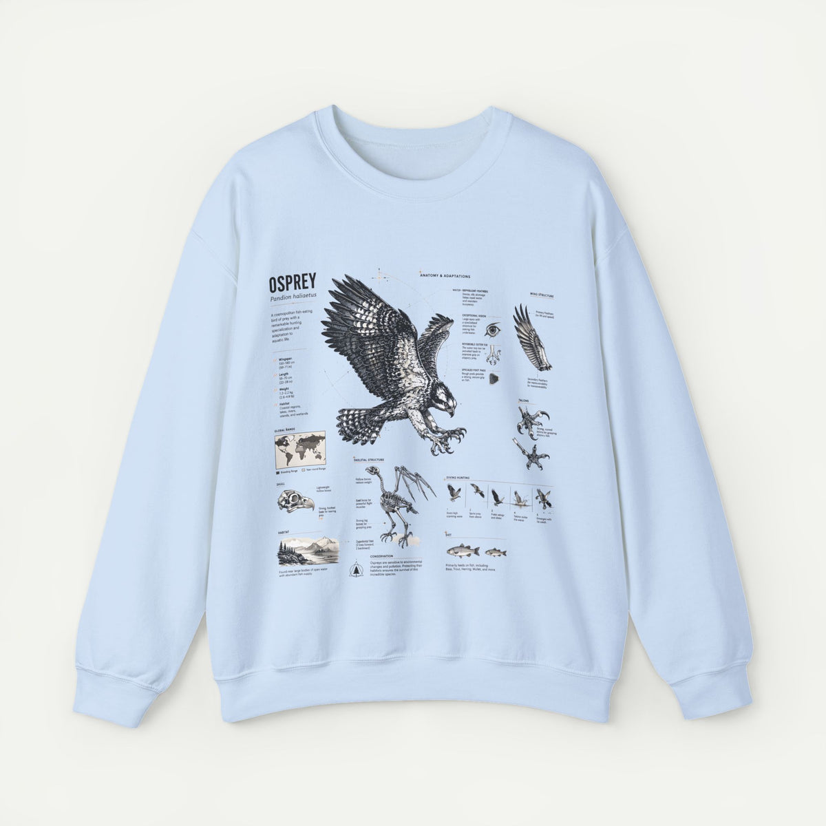 Osprey Anatomy Sweatshirt — Illustrated Bird Guide Pullover