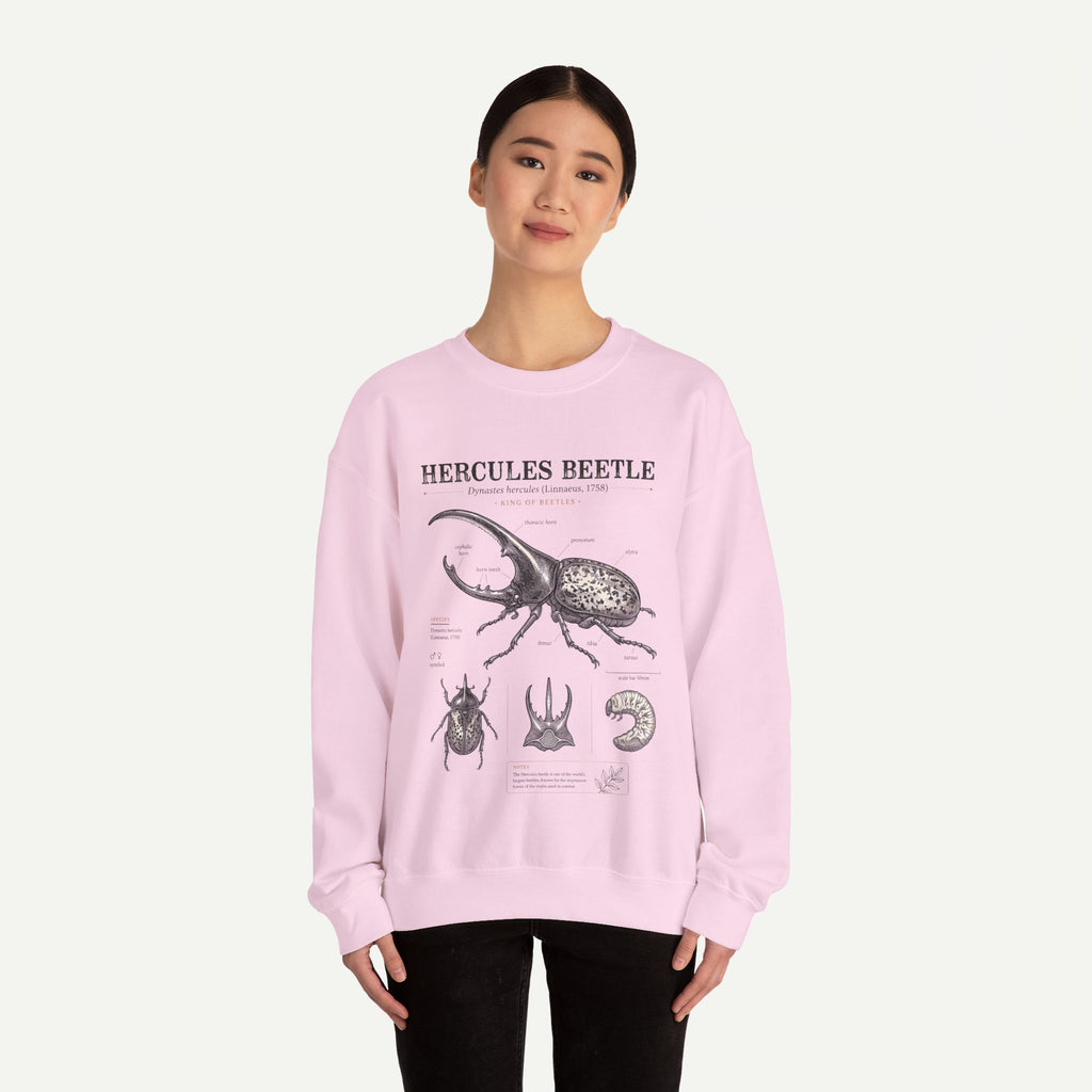Hercules Beetle Anatomy  Crewneck Sweatshirt – Vintage Entomology Graphic