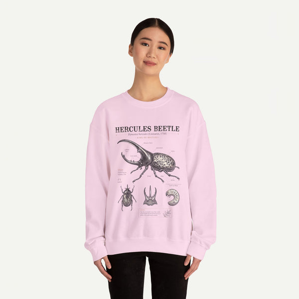 Hercules Beetle Anatomy  Crewneck Sweatshirt – Vintage Entomology Graphic