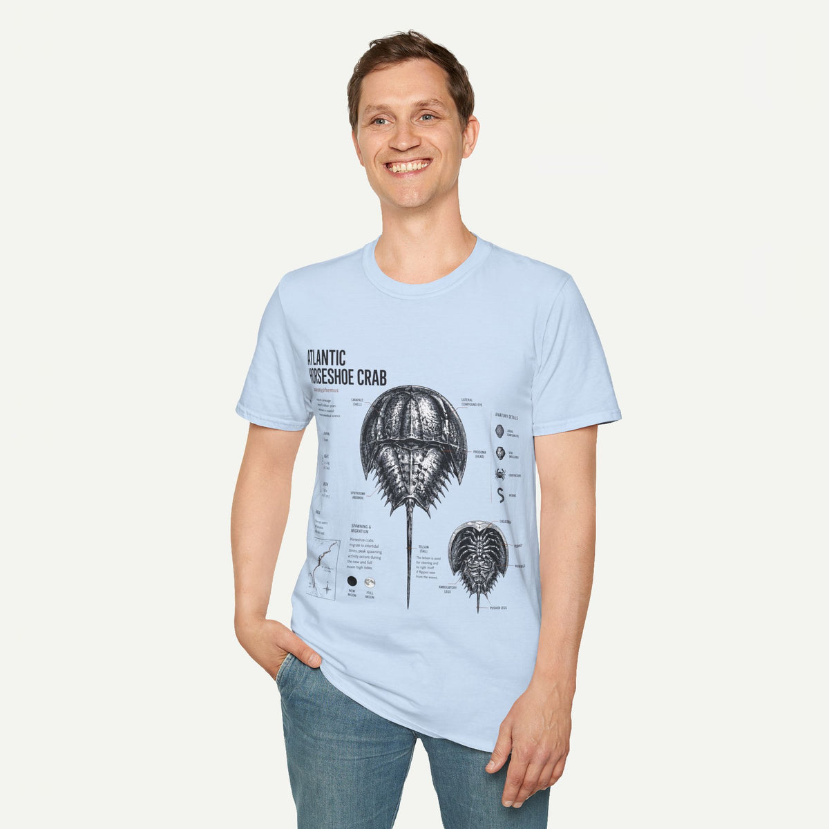 Horseshoe Crab Anatomy T-Shirt — Atlantic Horseshoe Crab Illustration