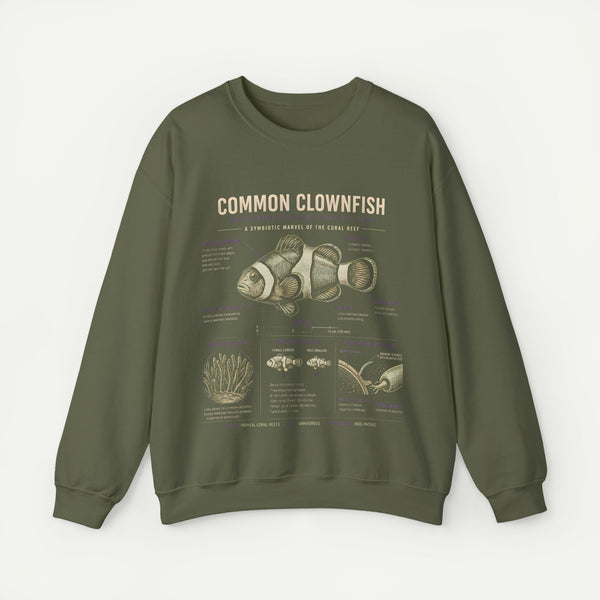 Common Clownfish Anatomy Sweatshirt – Marine Biology Graphic Pullover