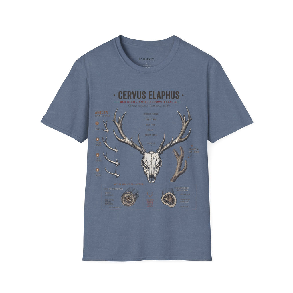 Deer Antler Anatomy T-Shirt — 'Cervus Elaphus' Educational Graphic