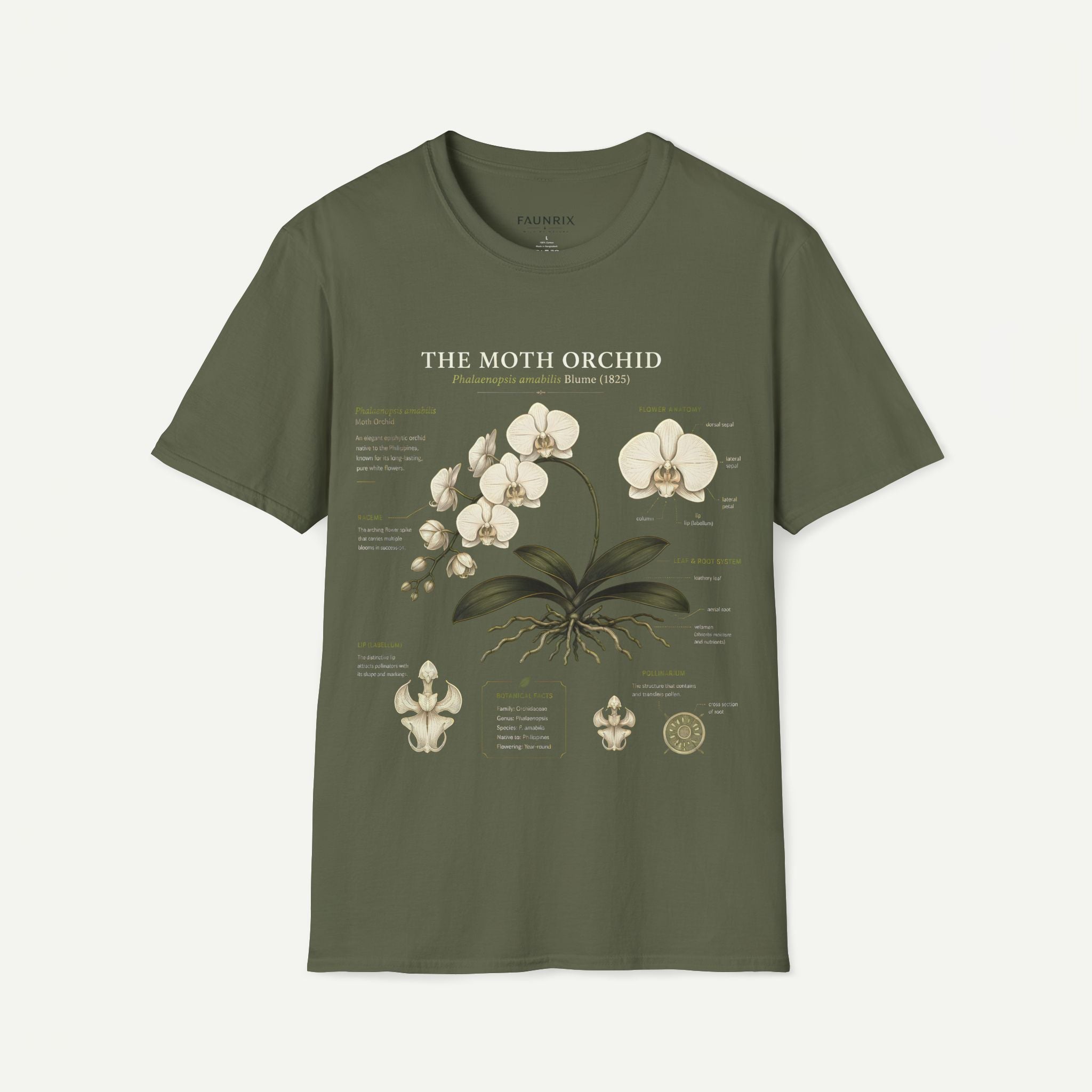 Moth Orchid Anatomy T‑Shirt — Elegant White Phalaenopsis Floral Tee Secondary image