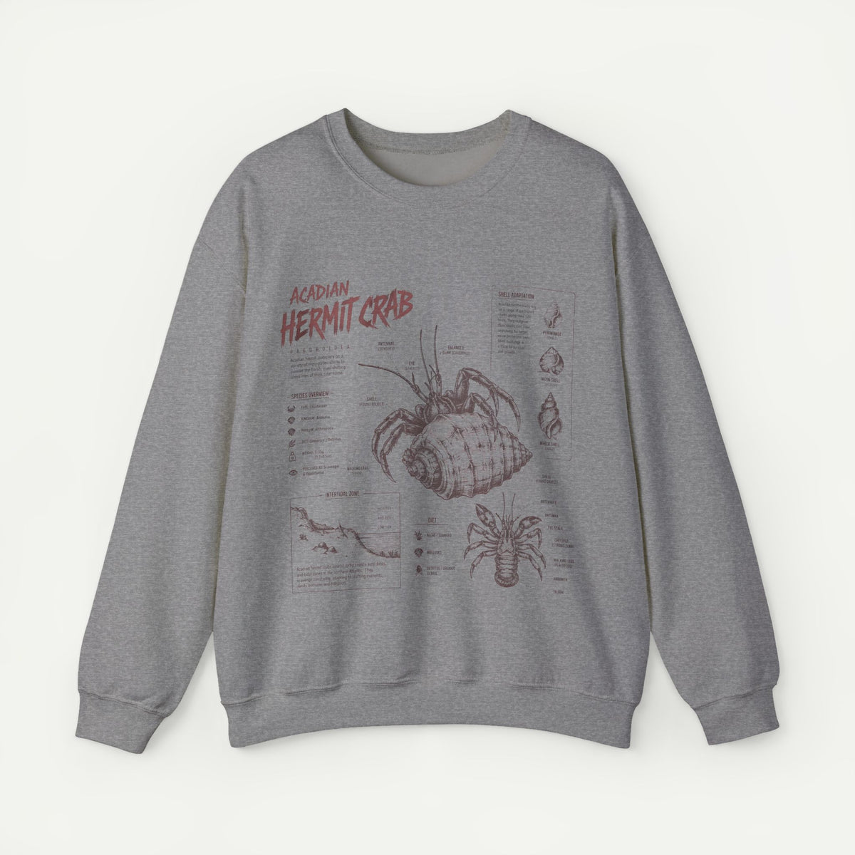 Hermit Crab Anatomy Sweatshirt — Acadian Hermit Crab Illustration