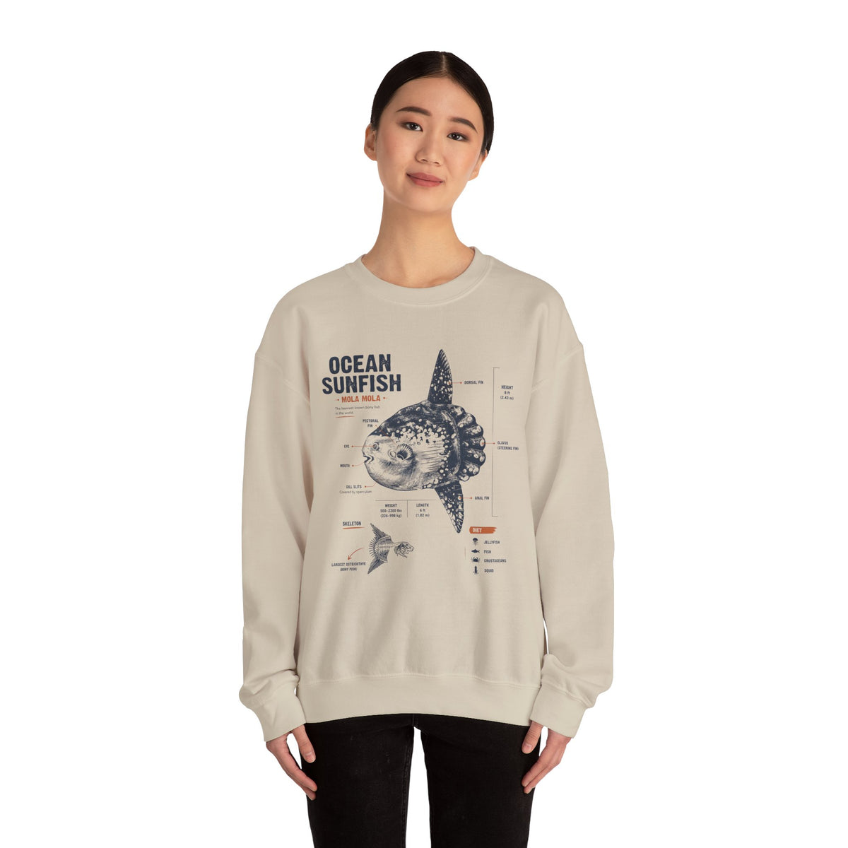Ocean Sunfish Illustration Sweatshirt — Mola Mola Anatomy Crewneck