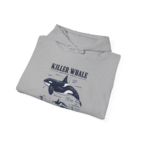 Killer Whale Anatomy Hoodie — Orca Scientific Diagram Sweatshirt