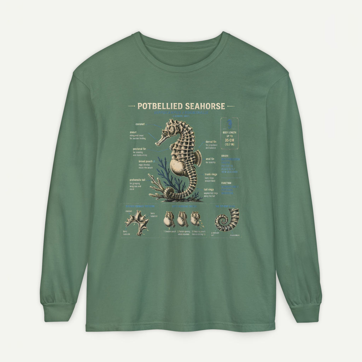 Seahorse Anatomy Long Sleeve Tee Main image