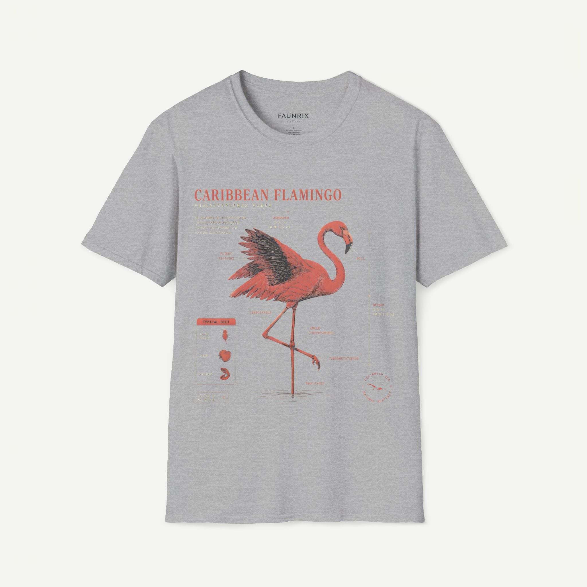 Flamingo Anatomy T-shirt — "Caribbean Flamingo" Vintage Tropical Tee Secondary image