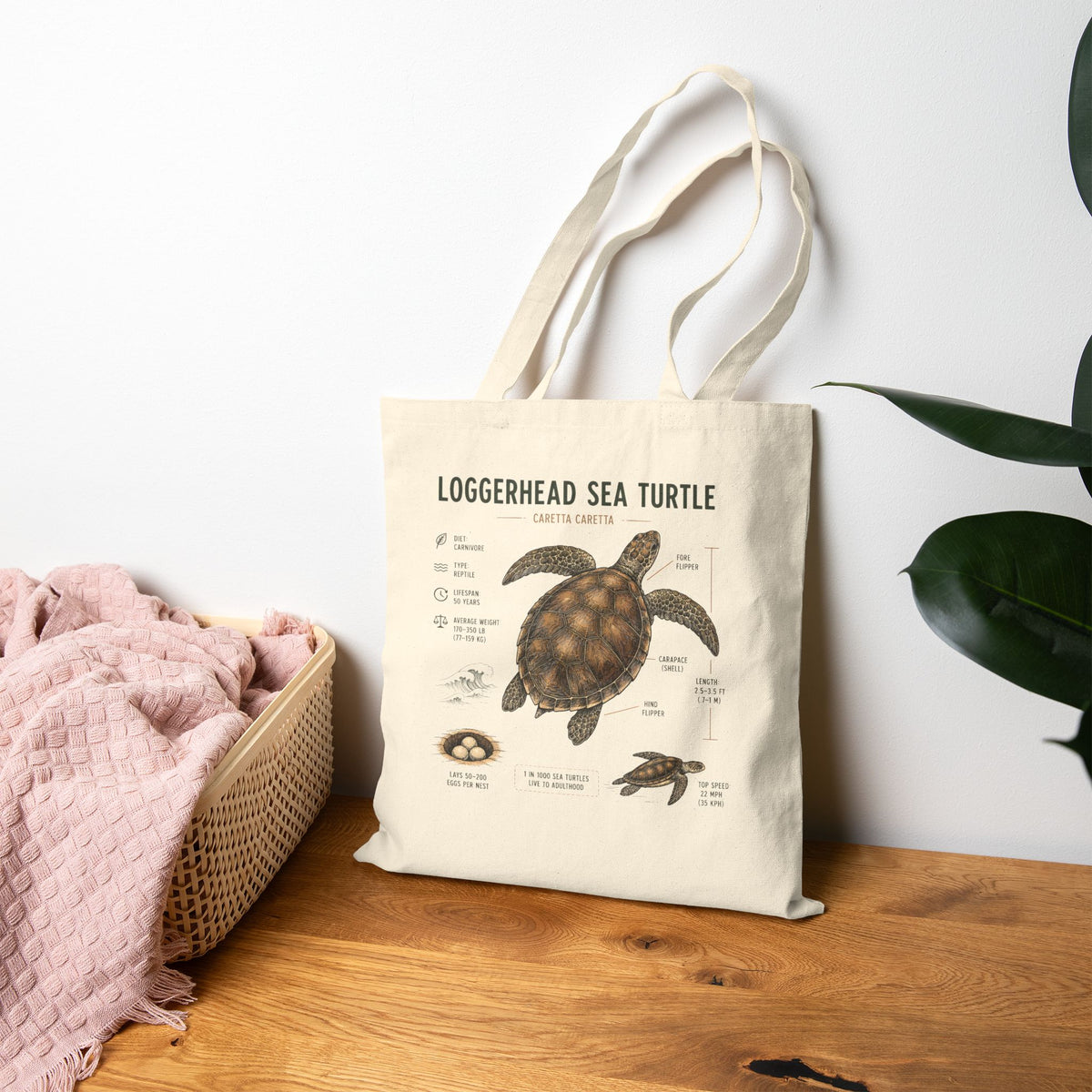 Loggerhead Sea Turtle Anatomy Canvas Tote — Educational Marine Life Beach Bag
