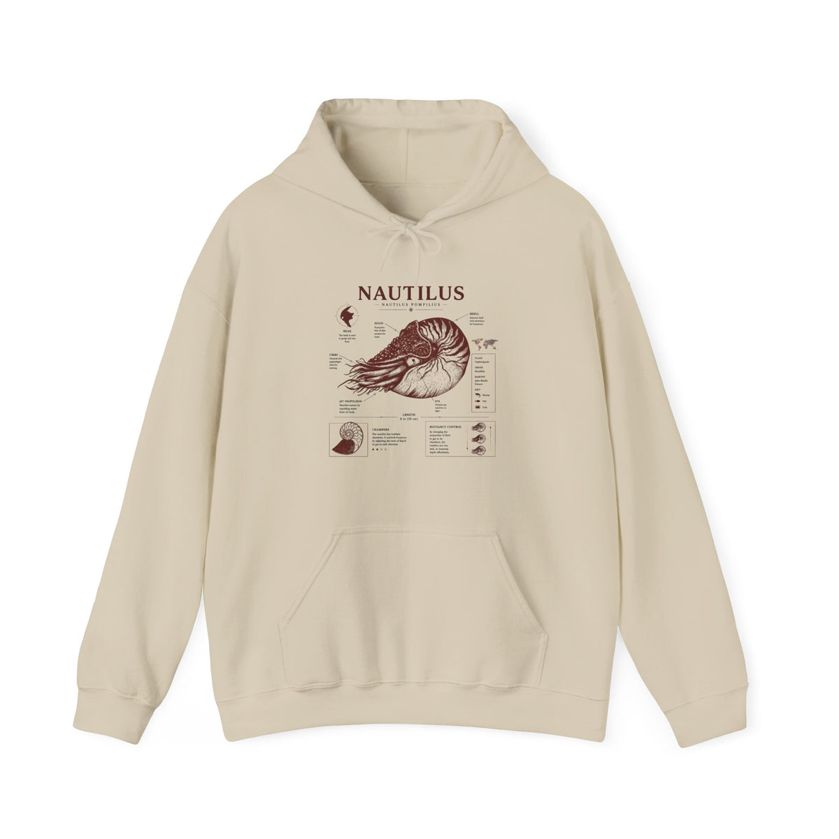 Nautilus Anatomy Hoodie – Vintage Scientific Shell Diagram Sweatshirt