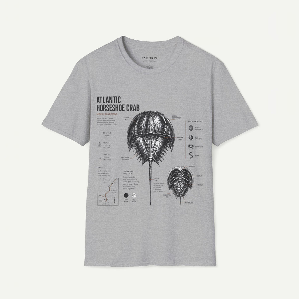 Horseshoe Crab Anatomy T-Shirt — Atlantic Horseshoe Crab Illustration